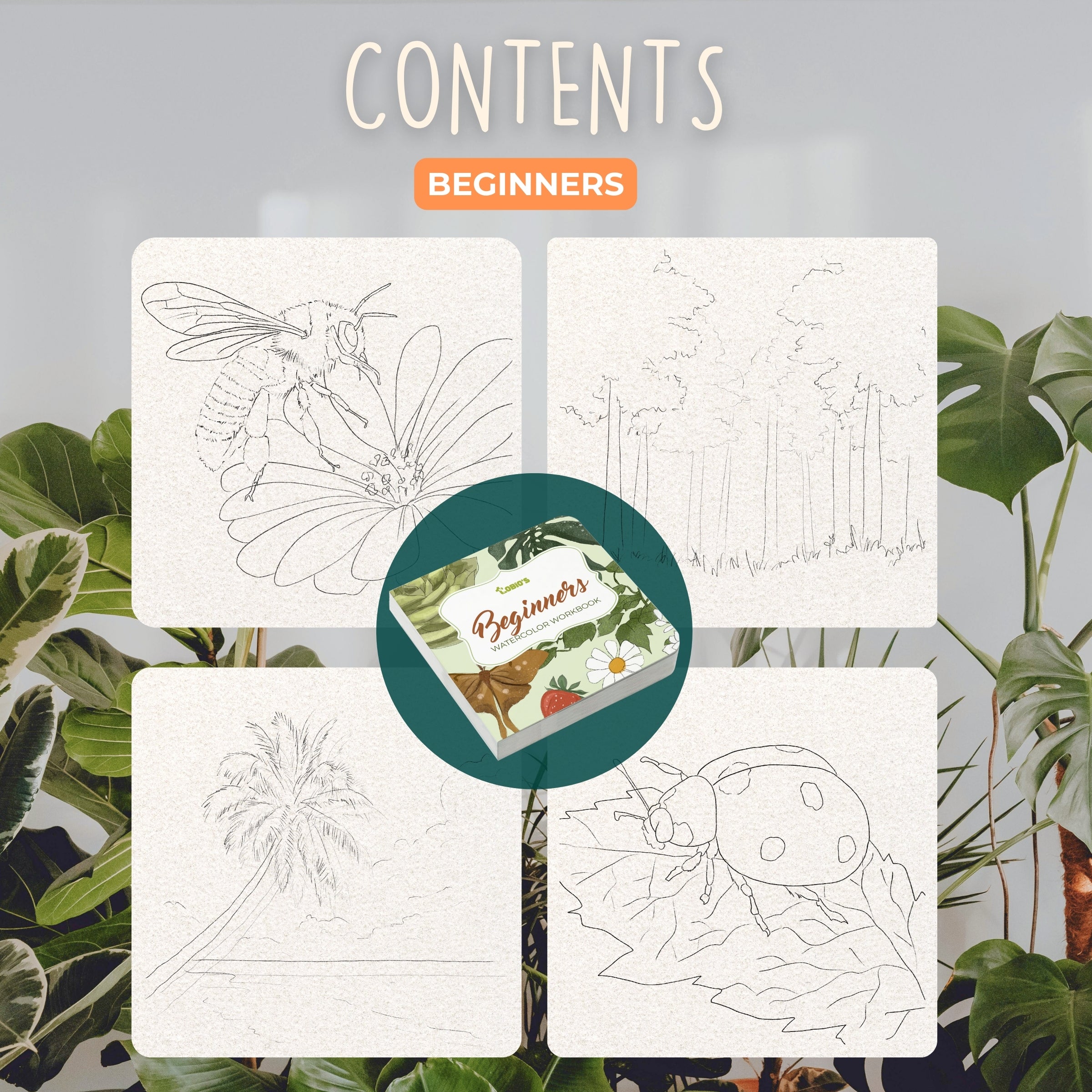 Tobio's Beginners Workbook