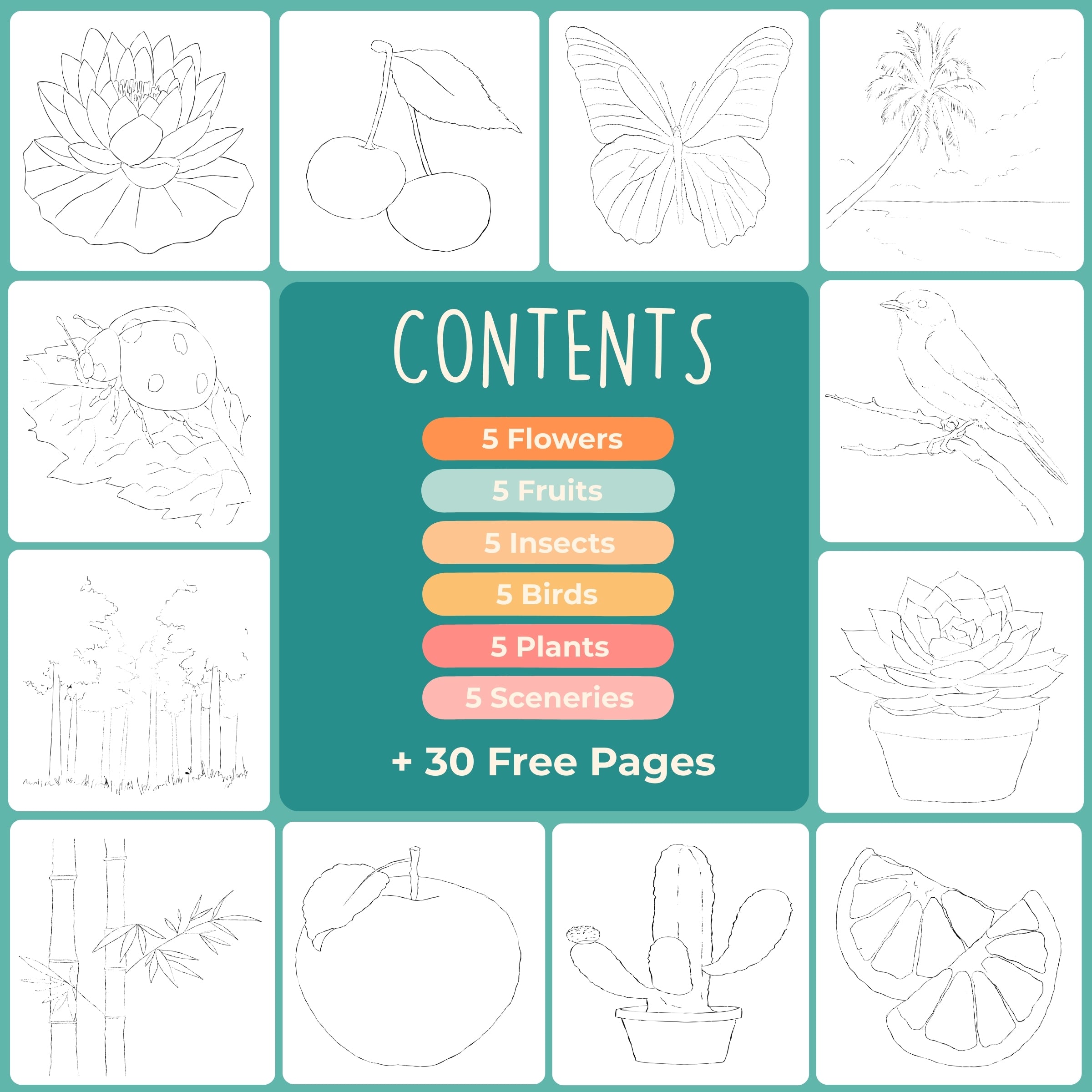 Tobio's Beginners Workbook